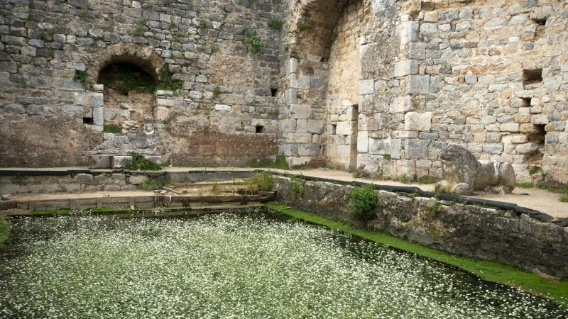 Miletus Ancient City Fausta Bath